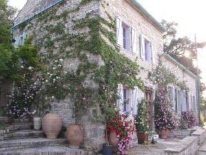Austin roses on Greek home