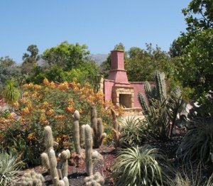 Cactus garden Arboretum
