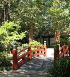 japanese bridge descanso gardens