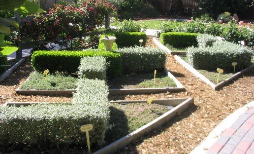 Knot garden with herbs