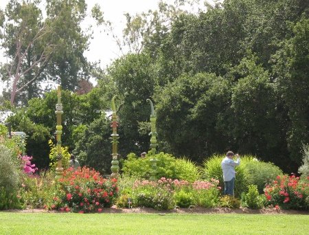 Los Angeles Arboretum in summer