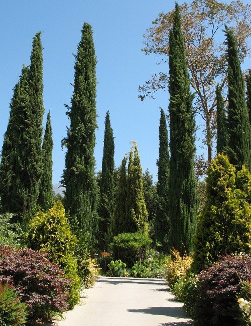 Los Angeles Arboretum walkway