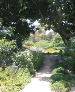 path at south coast botanic garden