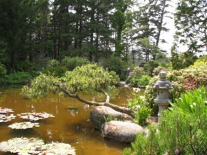 Shores Acres pond
