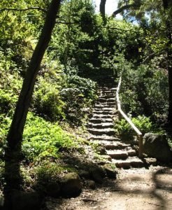 steep steps Santa Barbara botanic garden
