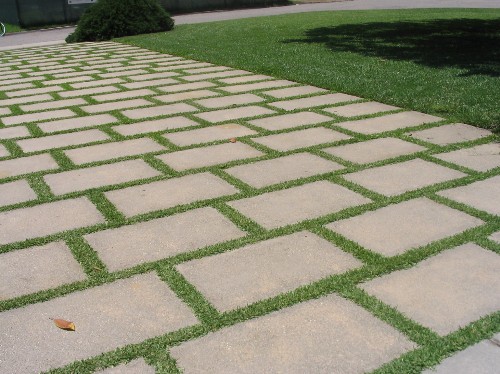 Tiles replace lawn