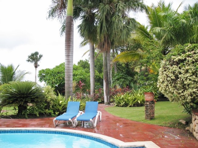 Tropical garden Dominican Republic