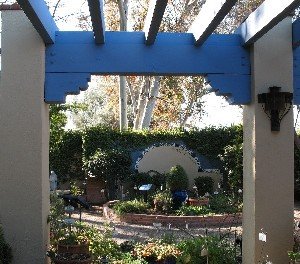 Tucson Botanical garden blue herb garden