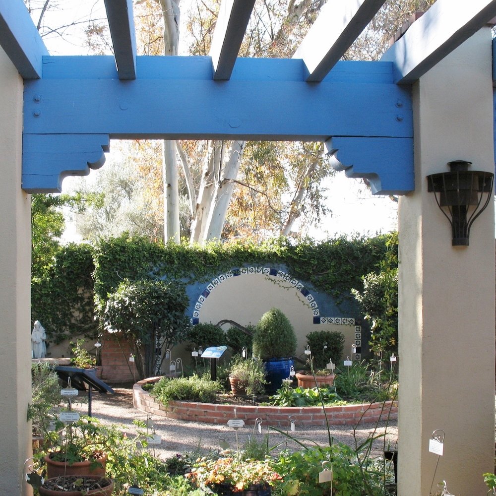 Tucson Botanical herb garden