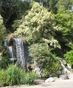 Waterfalls at Los Angeles Arboretum 