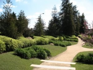 wavy hedges at SuihoEn garden