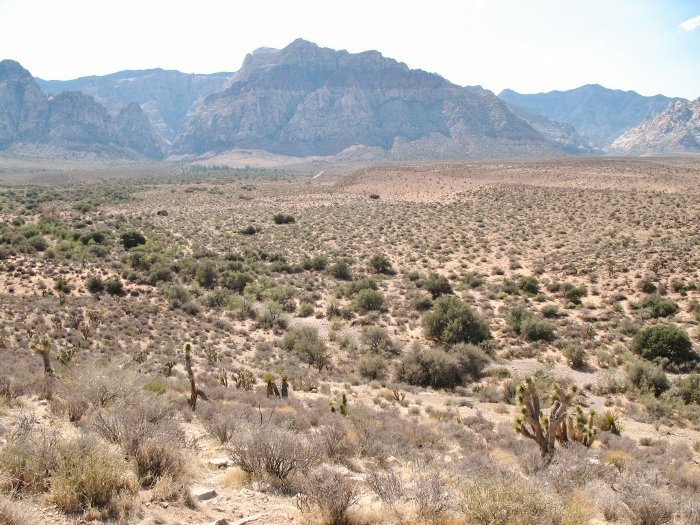 Las Vegas Red Rock canyon (