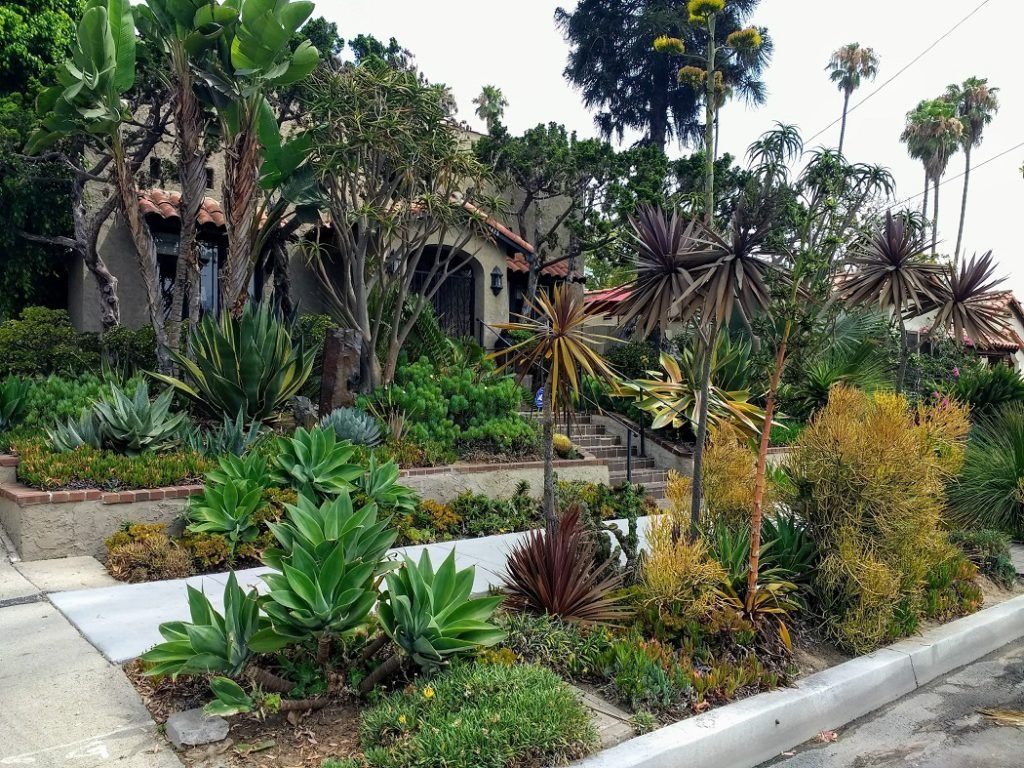 Low water usage garden Long Beach (