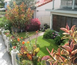 Naples Island garden 