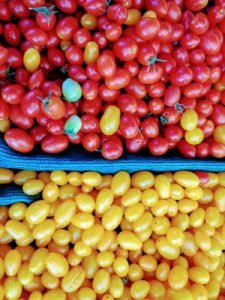 Red and Yellow cherry tomatoes Hot Gardens