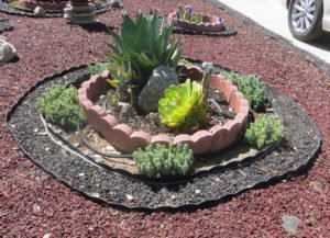 Circular Flower Bed in Blue Bottle garden Hot Gardens net