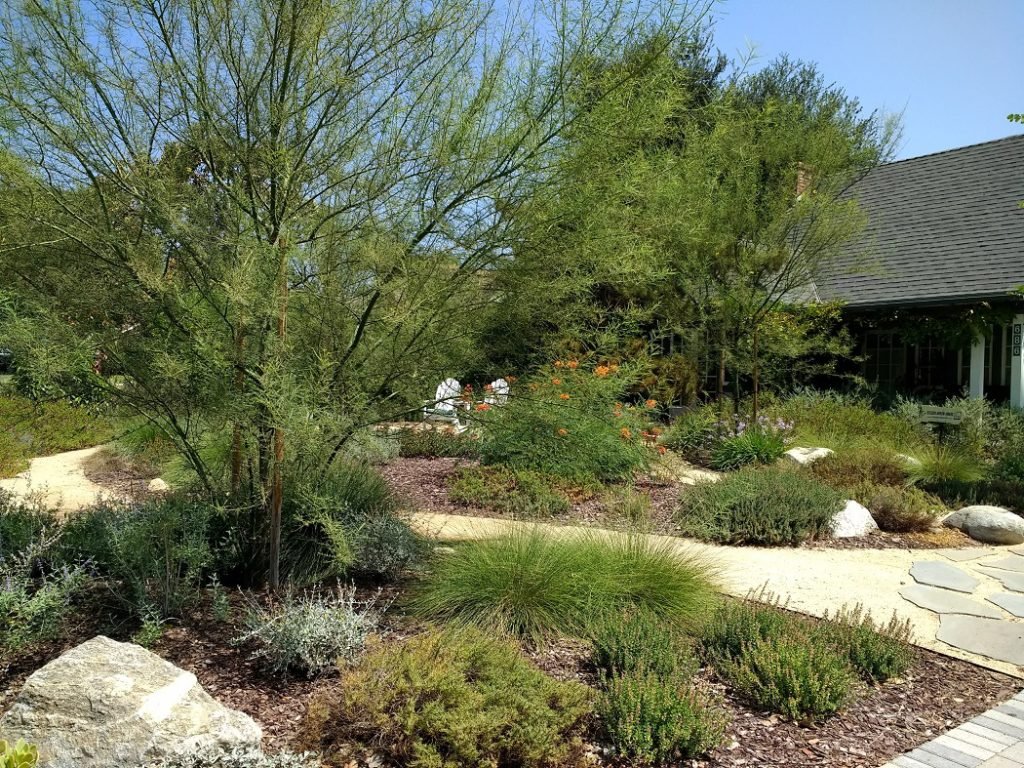 Drought tolerant garden in late summer hot gardens net
