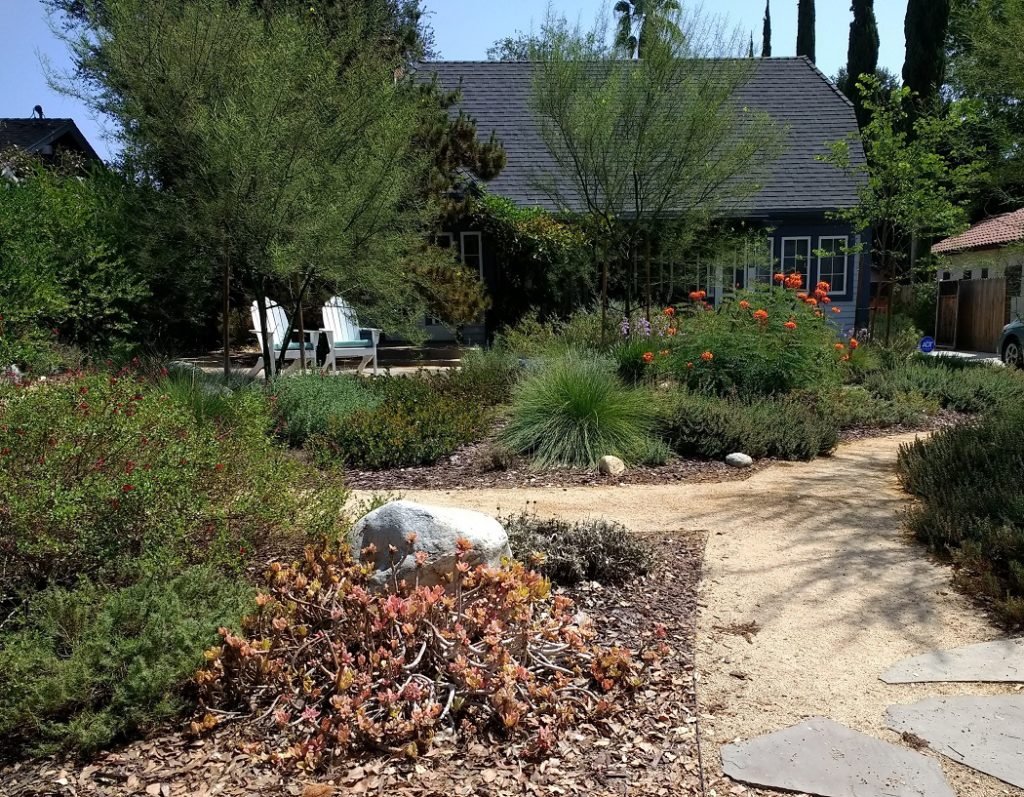 I would love to welcome you as a subscriber to Hot Gardens newsletter blog. Please use the form in the upper right side of this page to sign up.