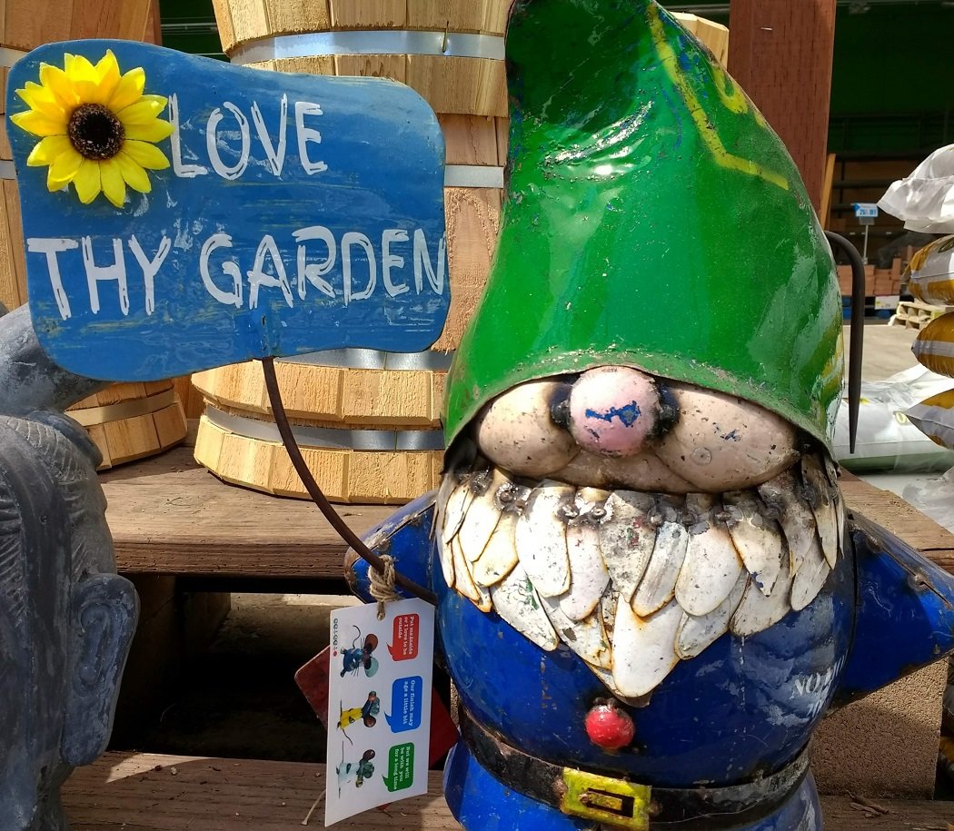 Show your hot dry garden some love. It’s hungry. Give it some food today.