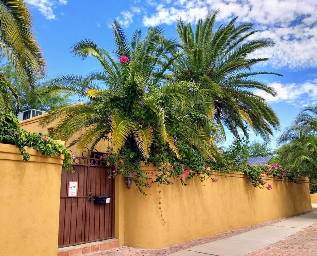 golden stucco garden wzll
