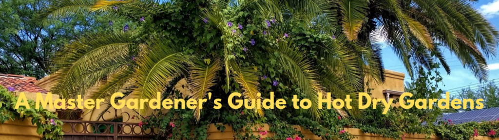Palm trees Tucson Hot Gardens banner