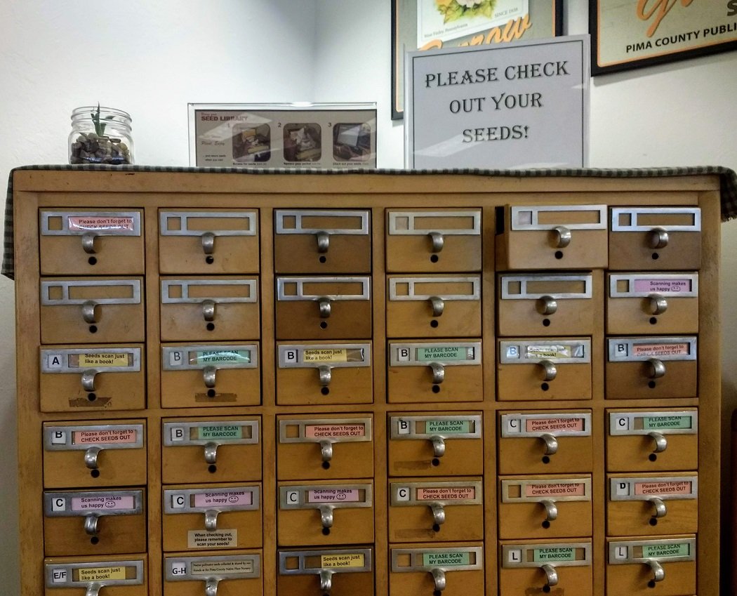 Free seeds thanks to Libraries, Yahoo and Google