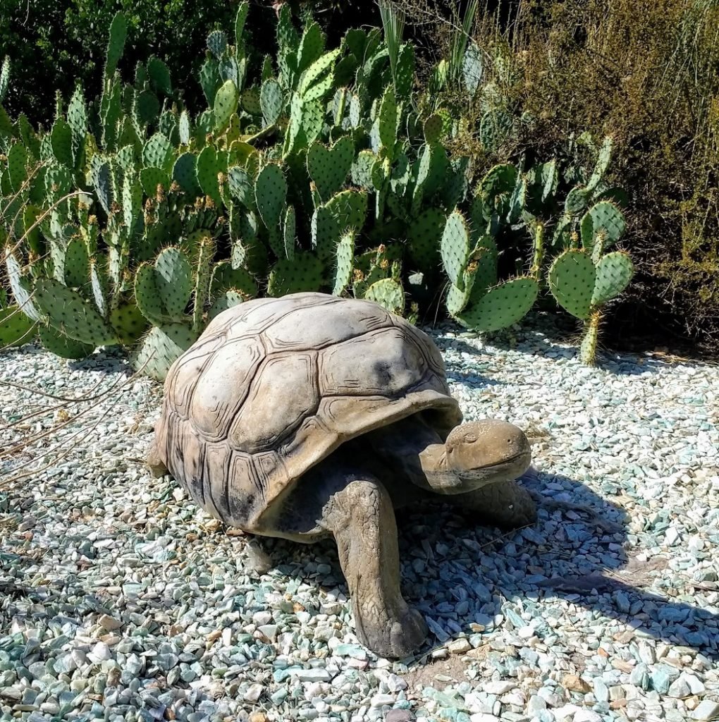 turtle garden ornament