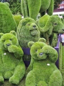 topiary teddy bears