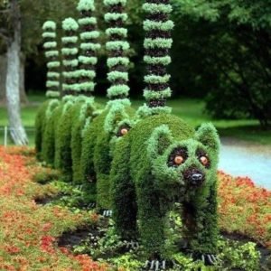 racoon topiary hot gardens