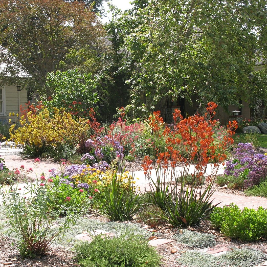 There outta be a social media law against lawns