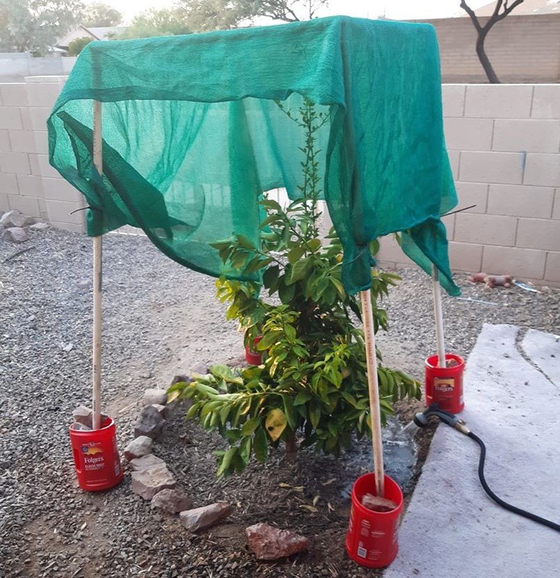 So your garden died. What’s next?