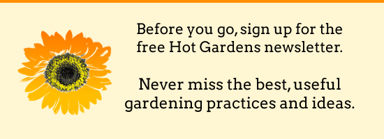 subscribe to free Hot Gardens newsletter