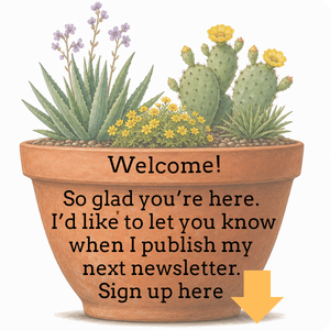 Hot Gardens subscritions terra cotta pot